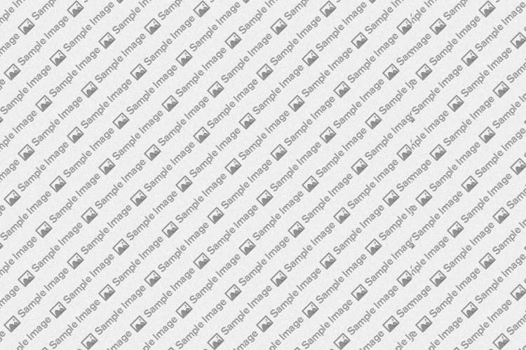 Vermont Symphony Orchestra Returns to Evergreen College